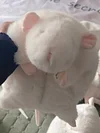 Handmade chubby white rat bag
