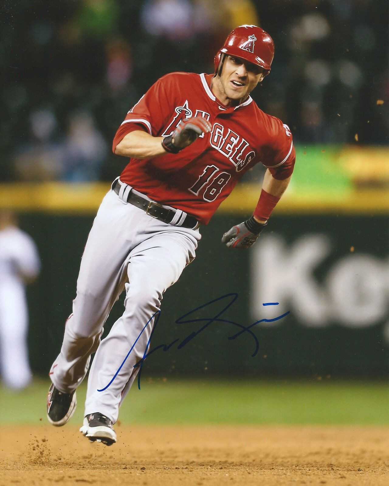 **GFA Los Angeles Angels *ANDREW ROMINE* Signed 8x10 Photo Poster painting A1 COA**