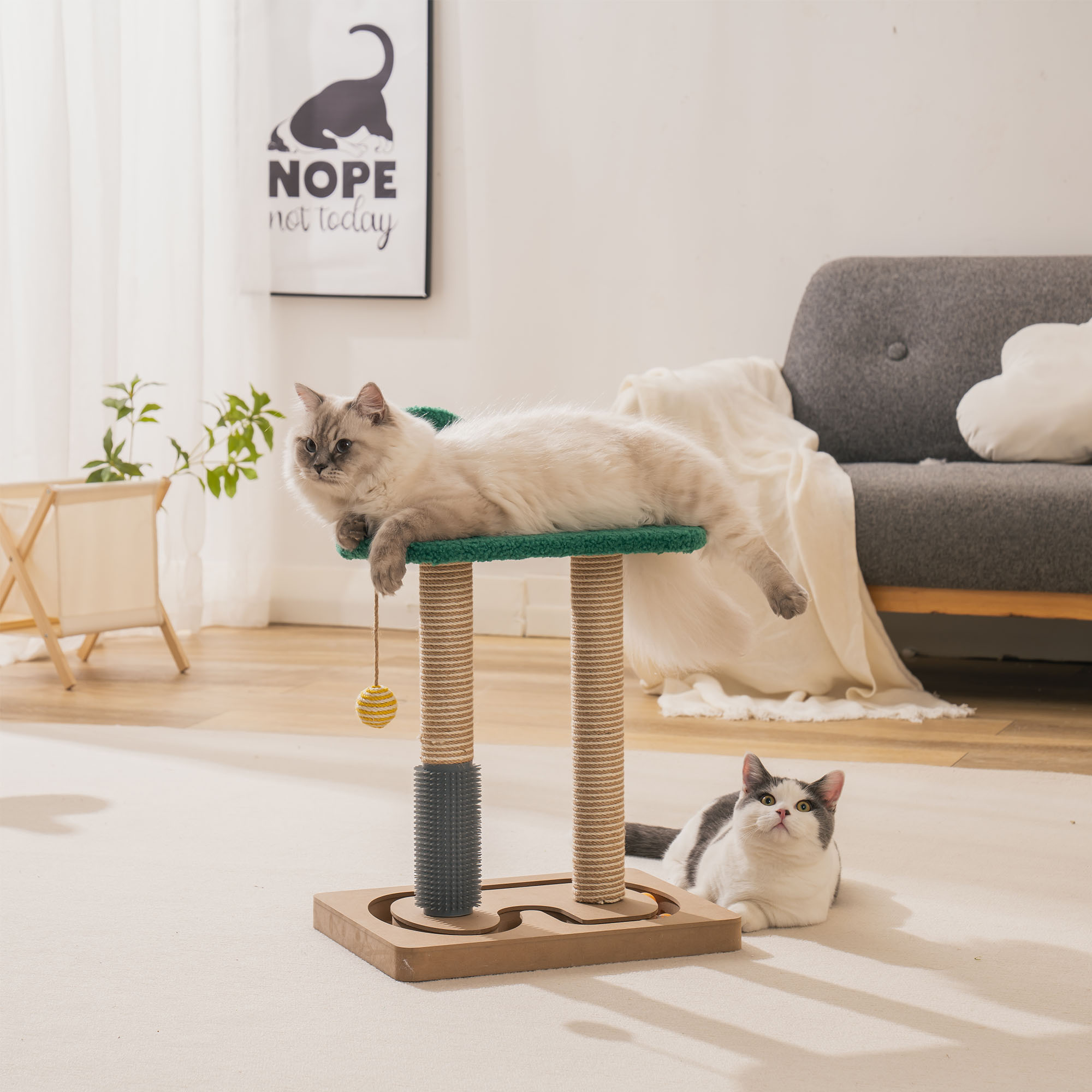 Cat Scratching Post Toy