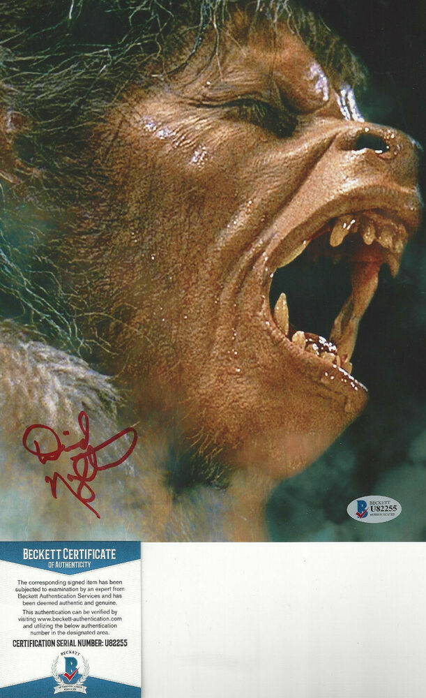 David Naughton - American Werewolf in London  8x10 autograph Photo Poster painting Beckett Cert