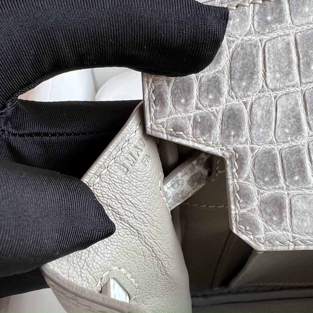 Birkin 25cm Matte Niloticus Crocodile  01 Himalaya PHW