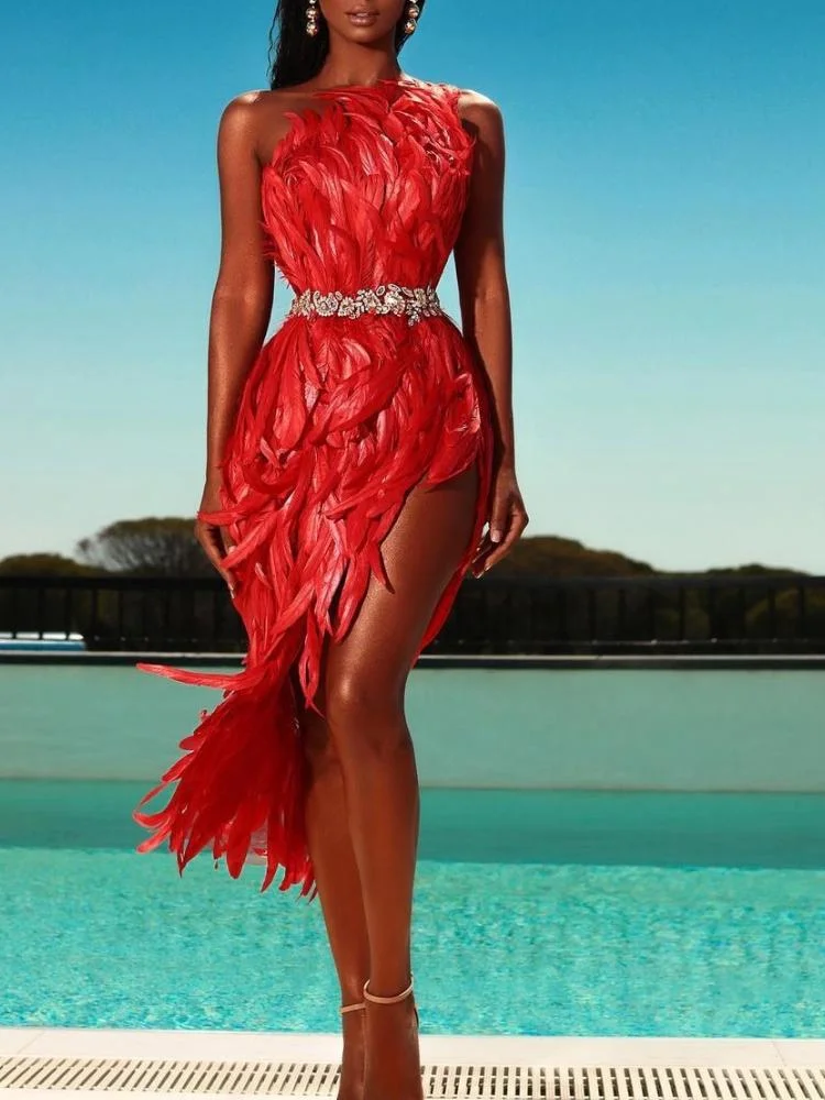 Neosepa-Current Single Shoulder Sleeveless Pure Red Feather Trimmed Belted Party Gown