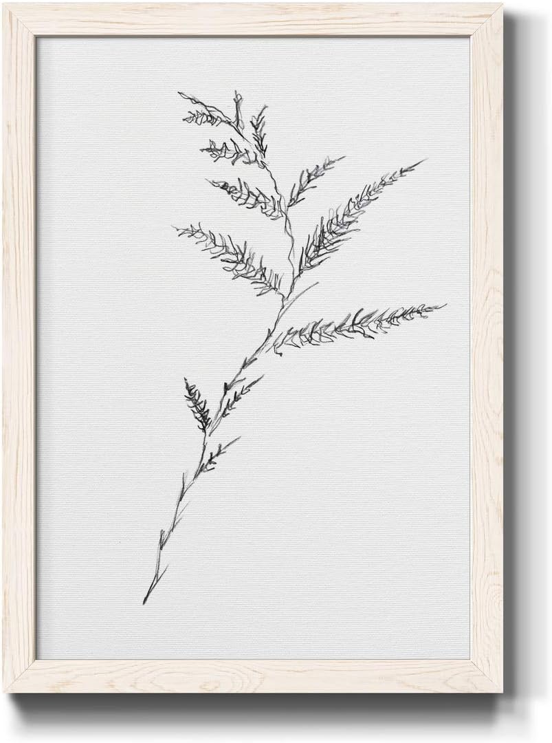 Wall Dcor, Livingroom Wall Art,Beach, Nautical, Scandanavian, Latin, FLORAL SKETCH III- White Framed Canvas - 27X37 27X37