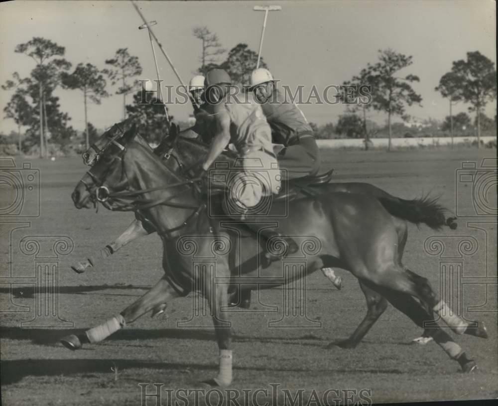 Press Photo Poster painting An intense Polo action scene - lrx15822