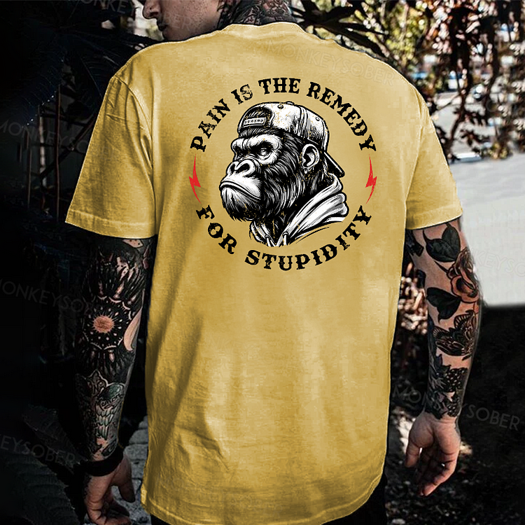 Pain Is The Remedy For Stupidity T-shirt