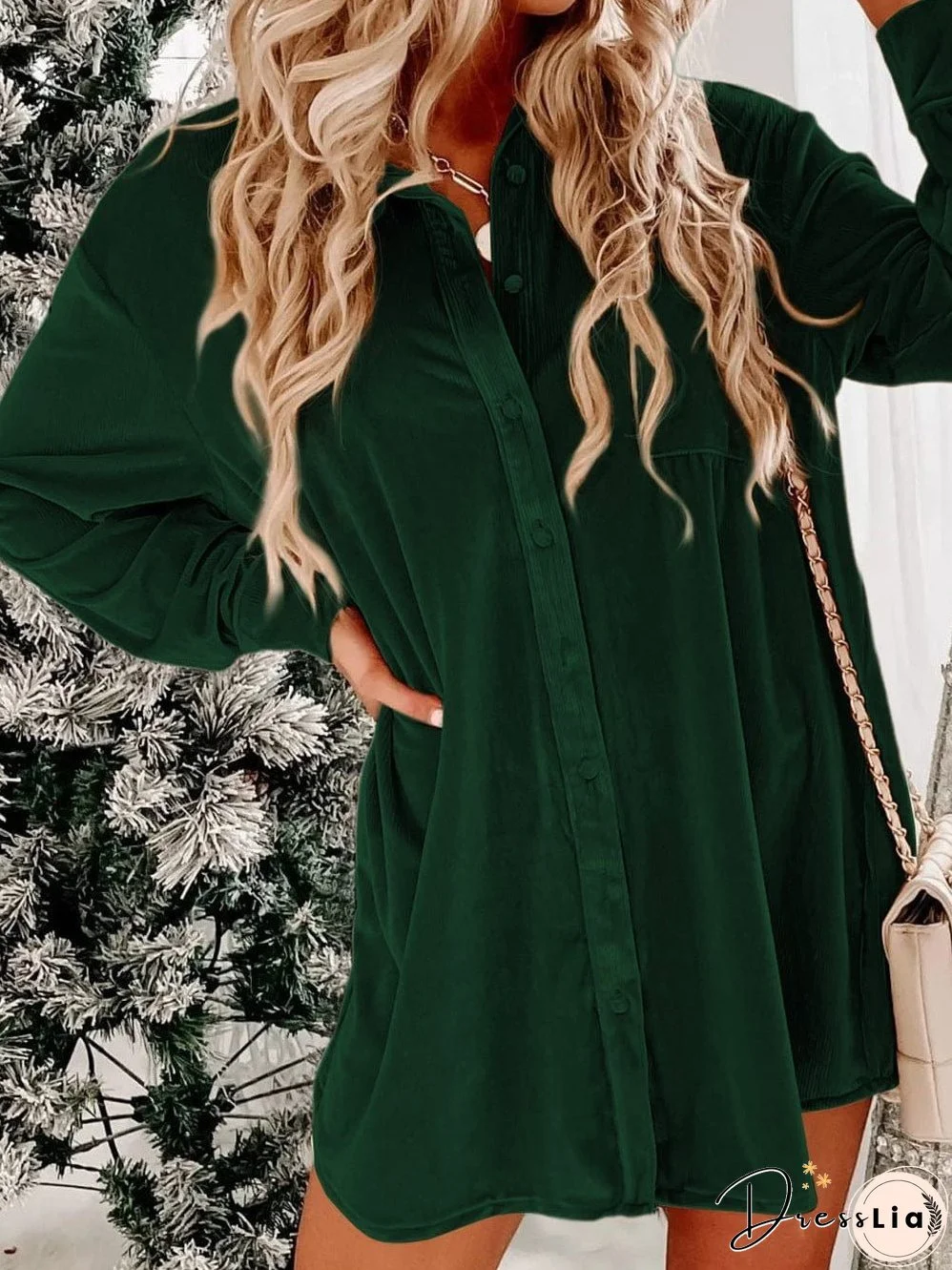 Long Sleeve Button-Front Shirt Dress