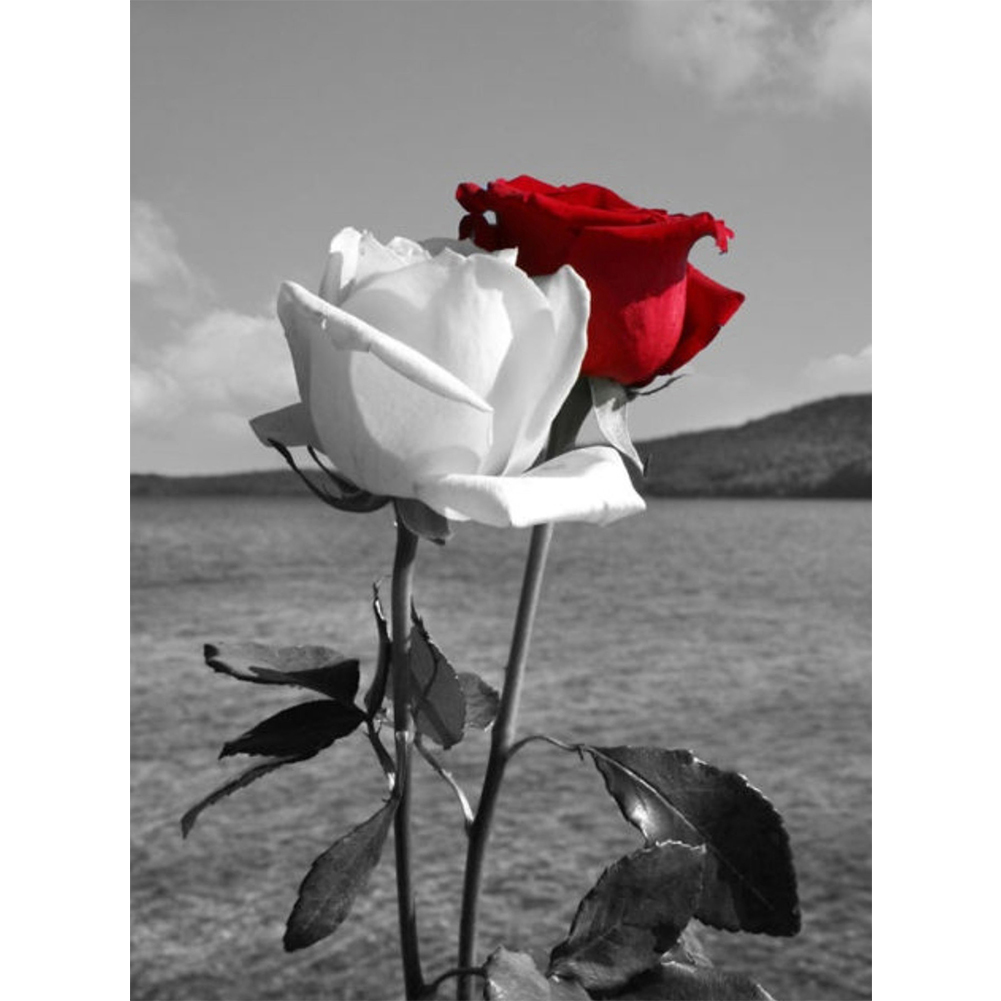 

Black Red Rose - Round Drill Diamond Painting 30*40CM, Round diamond 30*40cm, 501 Original