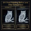 (25x25cm)DIY Glowing Owl Framed Handmade Pearl Painting Art Craft Kit Living Home Decor