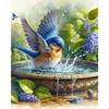 Diamond Painting-DIY Full Round Drill Splashing Birds(40*50CM)