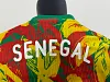 2025/2026 Player Version Senegal Training Uniform Football Jersey 1:1 Thai Quality