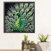 Peacock - Crystal Rhinestone Diamond Painting