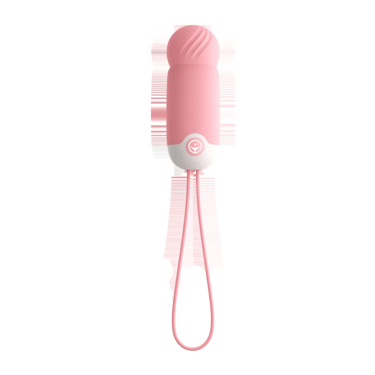 Wear Jumping Egg Wireless Remote Control Charging Women's Masturbation Appliance