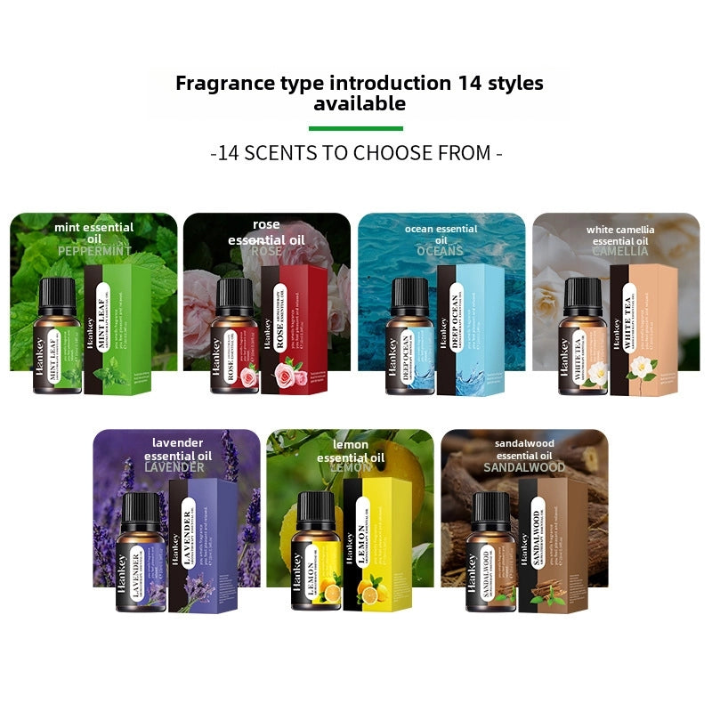 Spot Full English Rose Lily Aromatherapy Essential Oil Water-soluble Humidifier Non-fire Aromatherapy Supplement