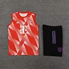2023/2024 Bayern Munich pre-match training Orange Jersey+Shorts 1:1 Thai Quality