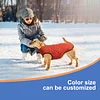 Dog Cold Weather Coats - Cozy Waterproof Windproof Reversible Winter Dog Jacket, Thick Padded Warm Coat Reflective Vest Clothes for Puppy Small Medium Large Dogs