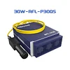 Raycus Original 20W 30W 50W 100W Q-switched Pulse Fiber Laser Source