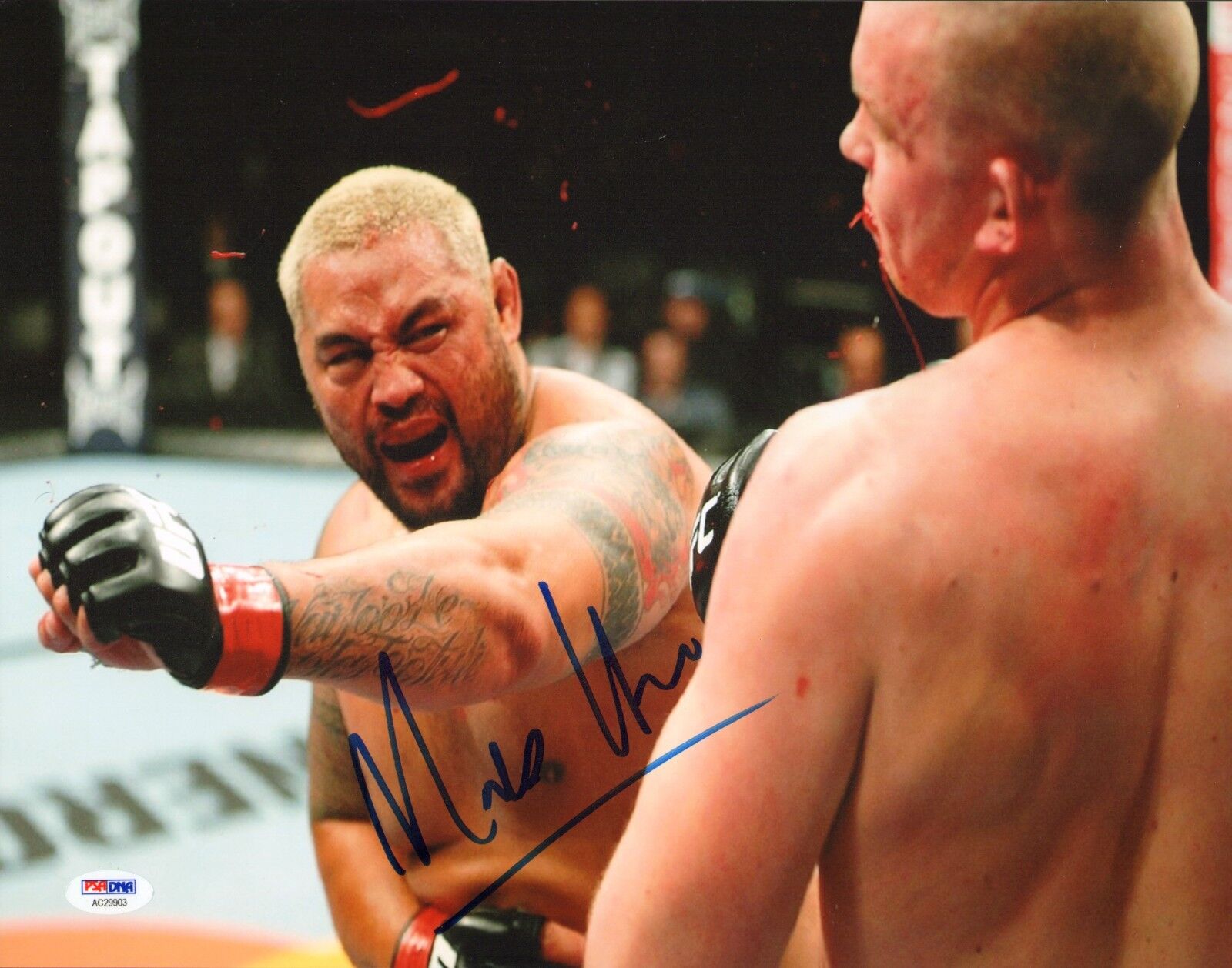 Mark Hunt Signed 11x14 Photo Poster painting PSA/DNA UFC on Fuel TV 8 Stefan Struve Picture Auto