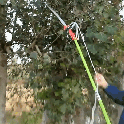 🥳【A good helper for pruning high branches】Professional telescopic pruning shears