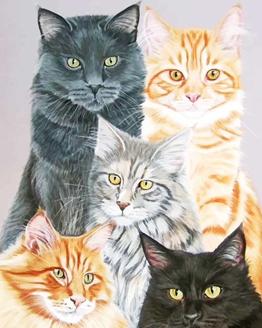 

Cute Cats – Paint By Numbers - 40*50CM, 501 Original