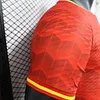 2024/2025 Player Version Spain Special Edition Football Shirt 1:1 Thai Quality