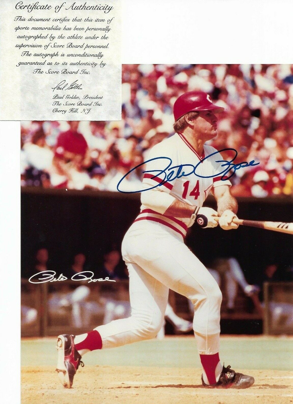 Autographed Cincinnati Reds ~Pete Rose~ Signed 8x10 Baseball Action Photo Poster painting TSBCOA