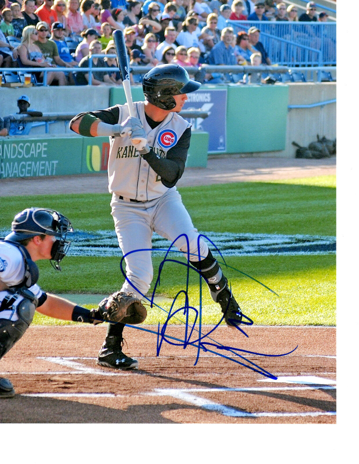 Albert Almora Chicago Cubs top prospect hand signed auto 8x10Photo Poster painting Kane County b