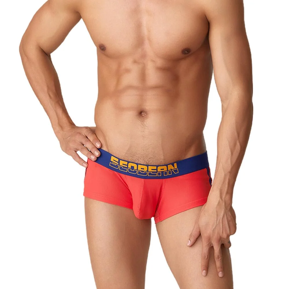Thanksgiving Day Gifts Mesh Breathable Men's Boxer Underwear Underpants  Men Lingerie Boxershorts Male Panties Boxer Shorts