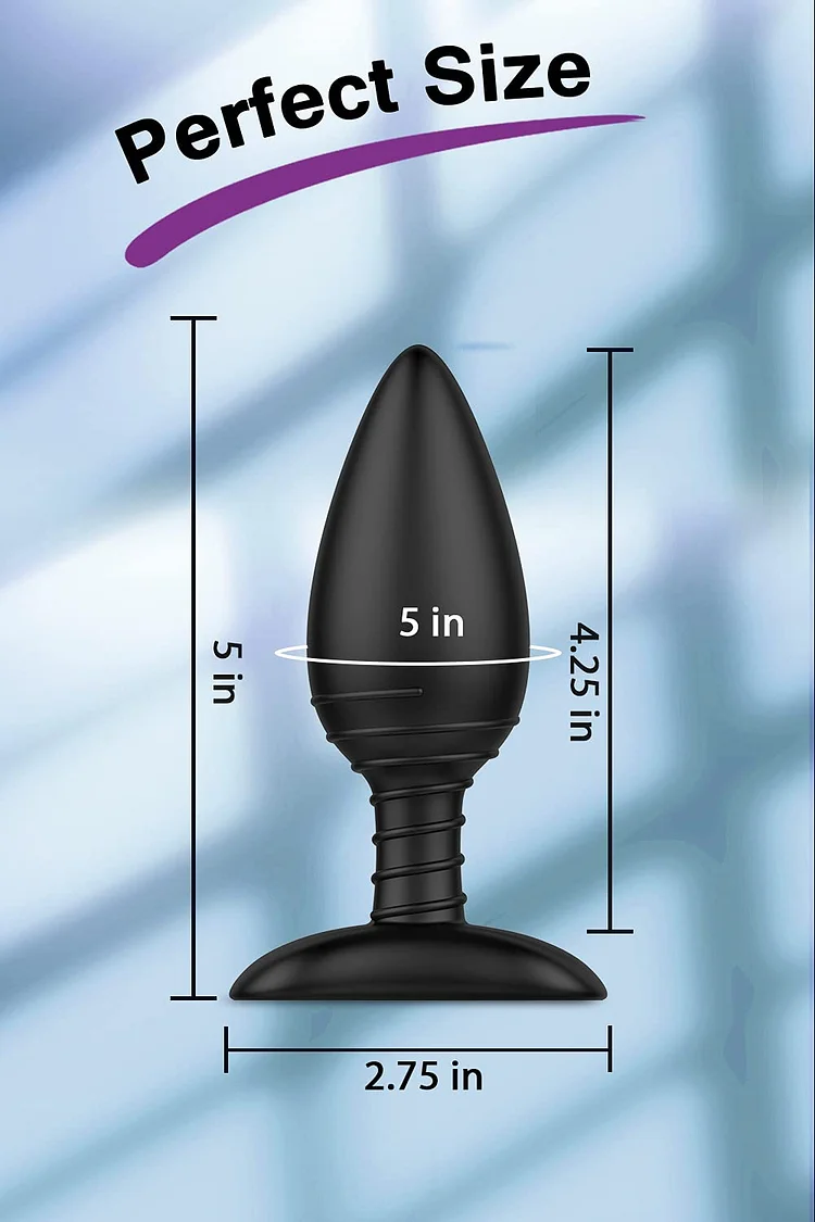 Vibrating Butt Plug Anal Plug with Bullet Vibrator