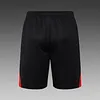 2025/2026 Bayern Munich pre-match training Black Shirt+Shorts 1:1 Thai Quality