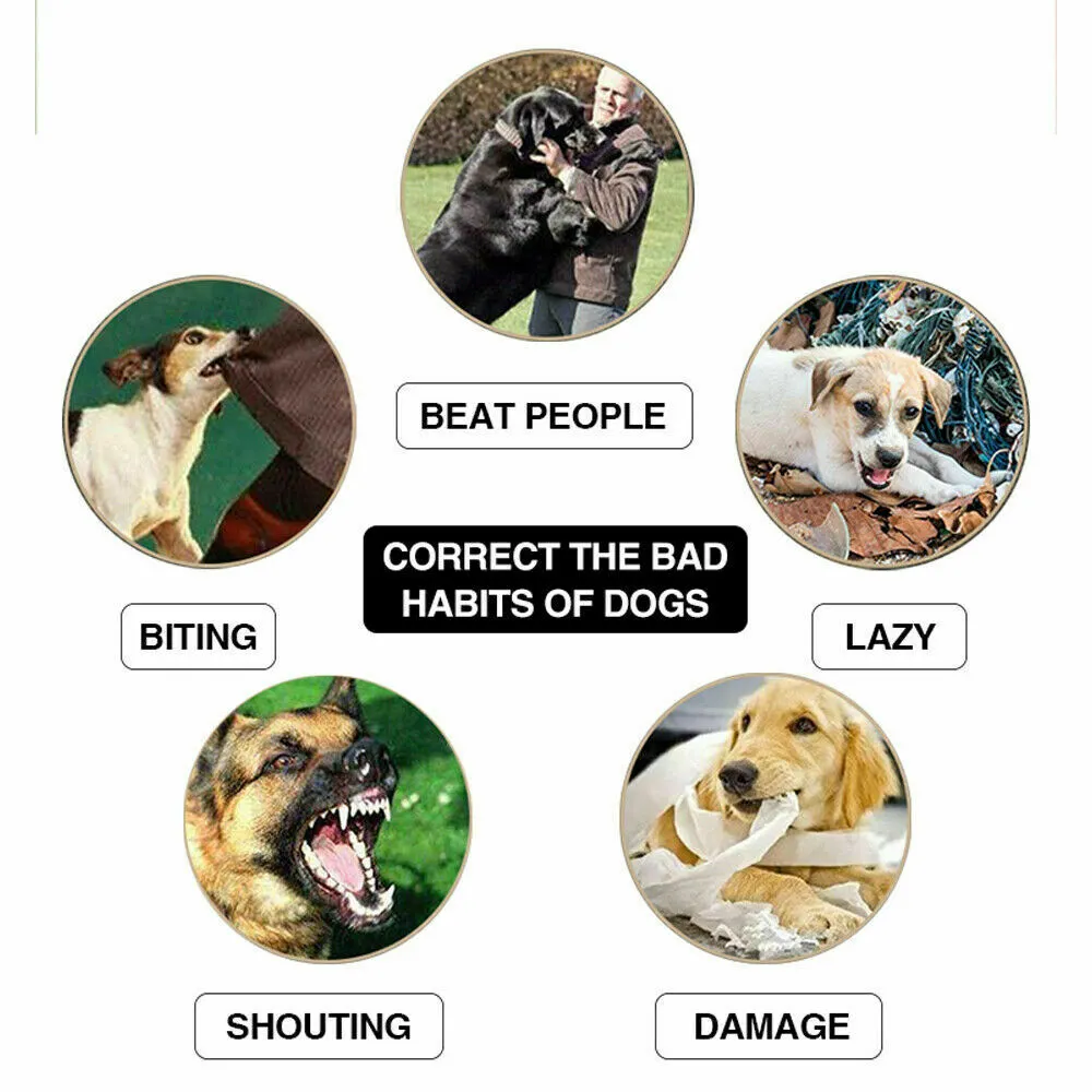 ELECTRIC DOG TRAINING COLLAR