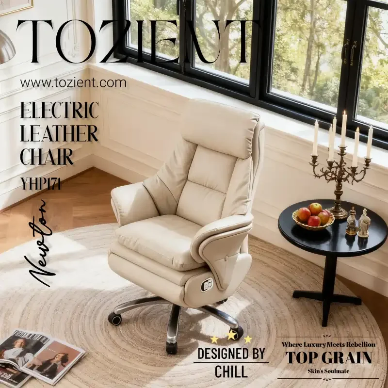 TOZIENT YHP171 /Newton/ Recline Chair, Cowhide, Zero Gravity Recline