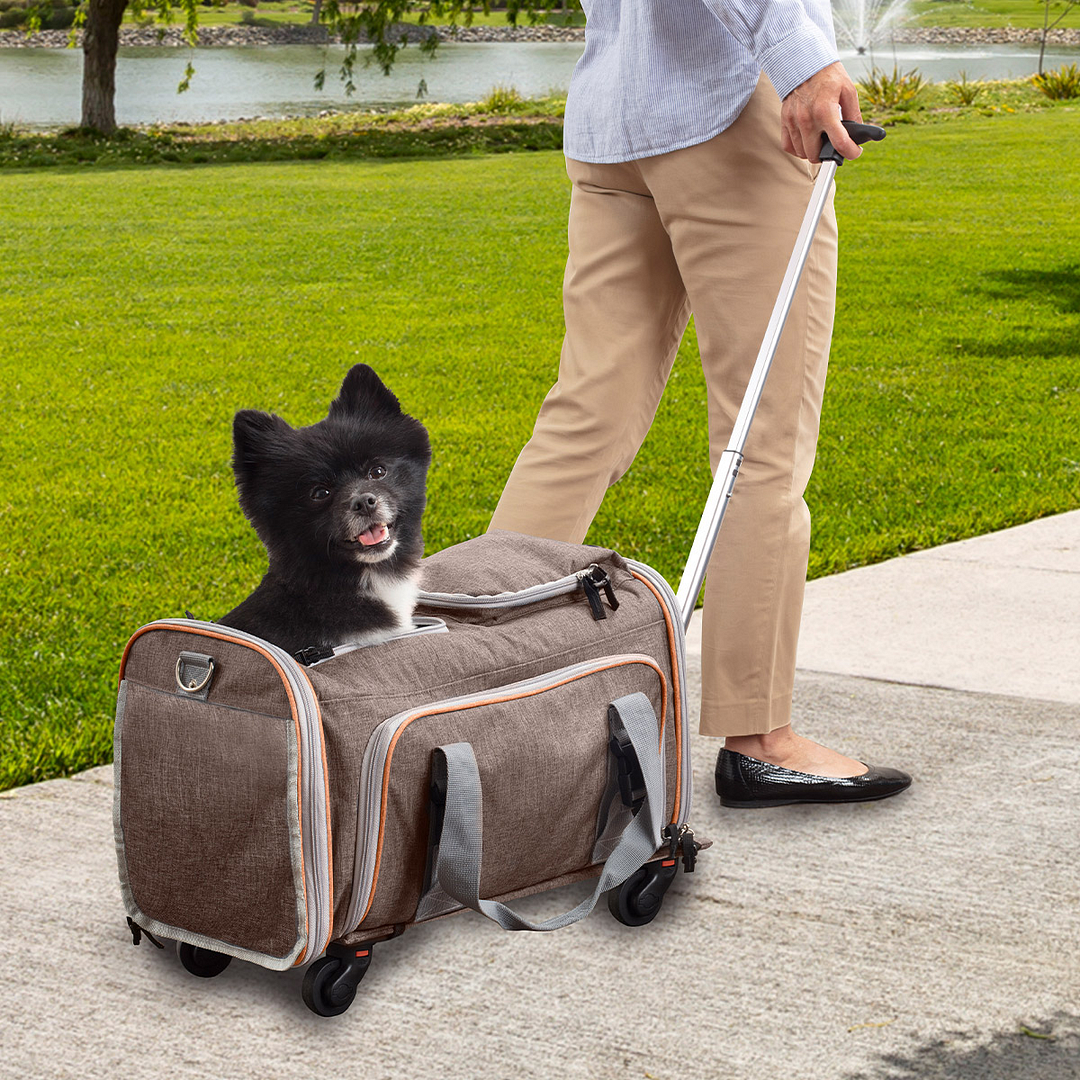 Travel Carrier with Wheels (2022)