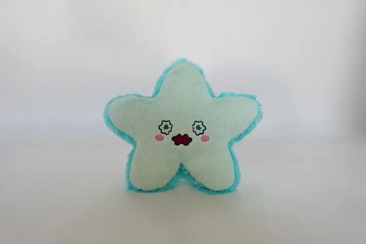 Plush Star Toy