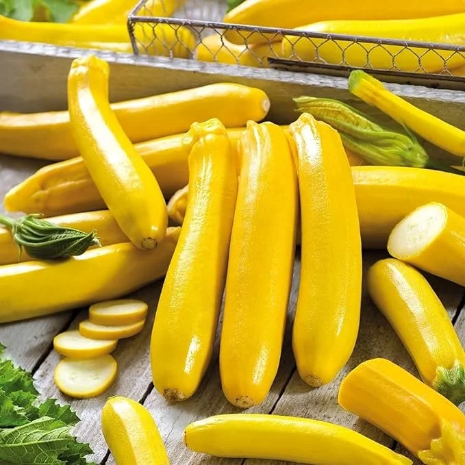 Golden Zucchini Seeds