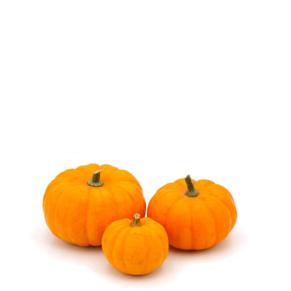 Pumpkin Jack Be Little (Halwa Kadu) Seeds &ndash; Miniature, Decorative & Edible