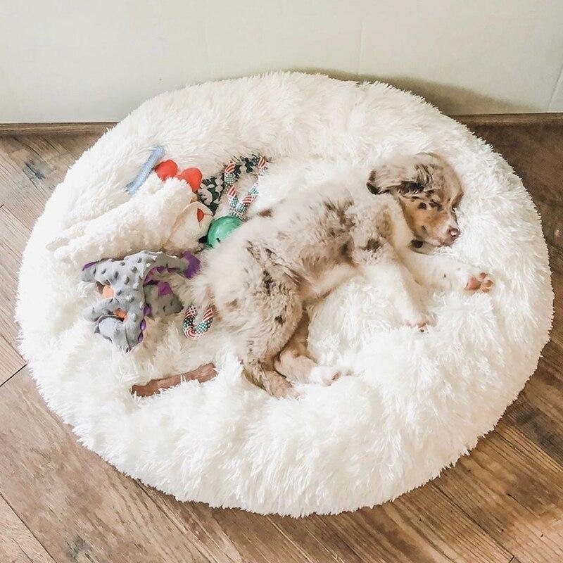 Comfy Calming Dog Beds at Albert Potter blog