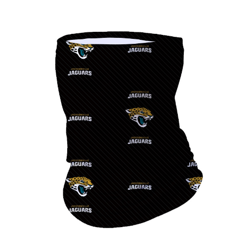 Jacksonville Jaguars Box