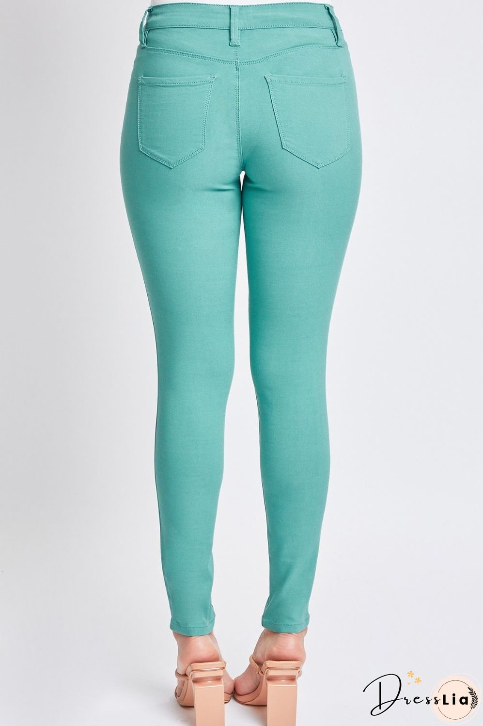 YMI Jeanswear Full Size Hyperstretch Mid-Rise Skinny Pants