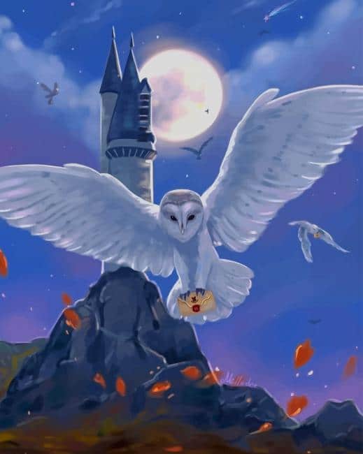 

Harry Potter Hedwig – Paint By Numbers - 40*50CM, 501 Original