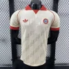24/25 Player Bayern Munich Special Soccer Jersey