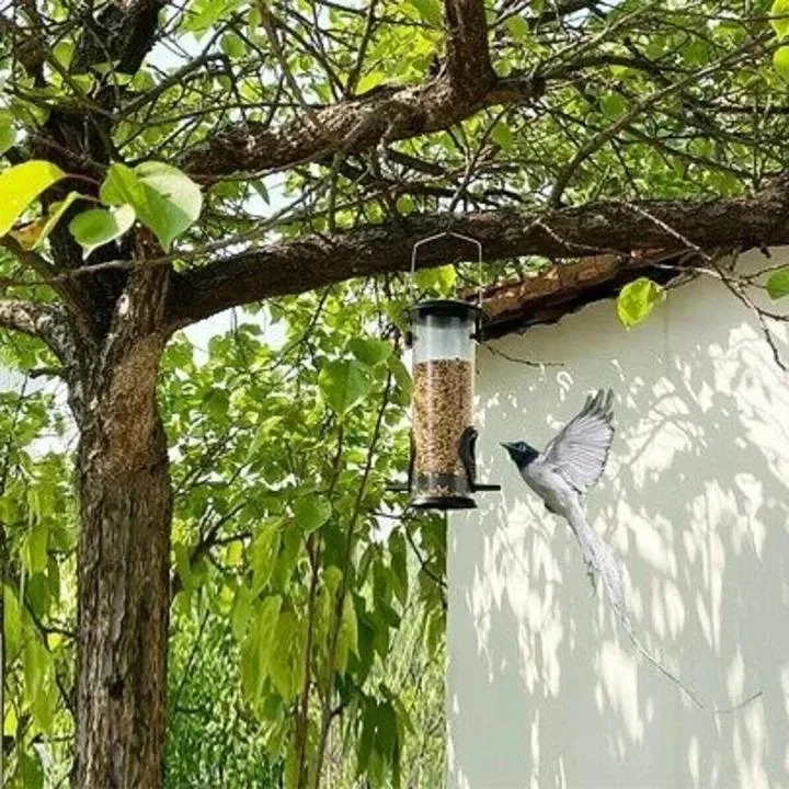 🔥BUY 2 GET 1 FREE🔥SQUIRREL-PROOF BIRD FEEDER【JUST $19.96】