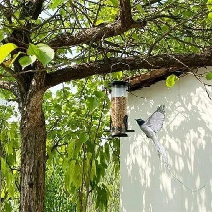 🔥BUY 2 GET 1 FREE🔥SQUIRREL-PROOF BIRD FEEDER【JUST $19.96】
