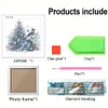 5D DIY Partial Special Shaped Drill Diamond Painting Kit Xmas Bird Decor With Frame Kit 18x18cm