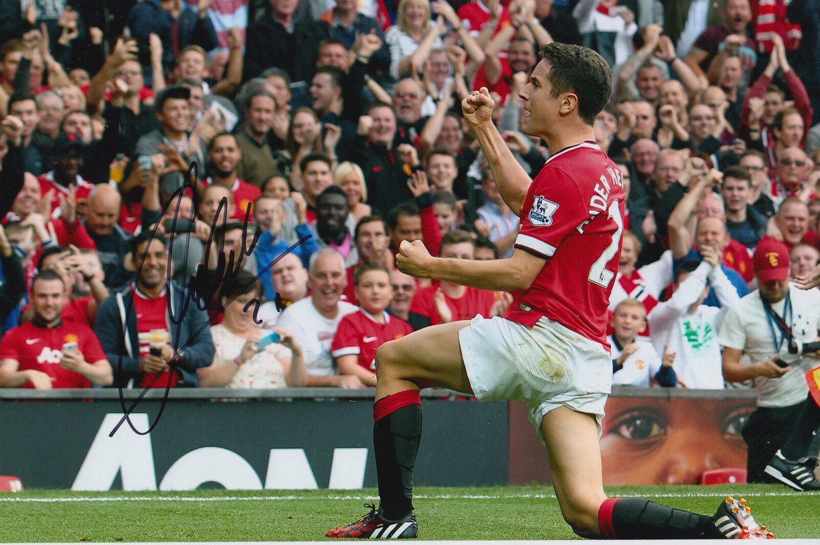MANCHESTER UNITED HAND SIGNED ANDER HERRERA 12X8 Photo Poster painting 3.