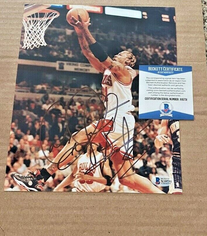 DENNIS RODMAN SIGNED CHICAGO BULLS 8X10 Photo Poster painting BECKETT CERTIFIED