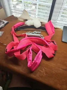 Pornhint DEVILS FILM Office ASSistant Tries Her Best To Help Her Boss With A Task Doll