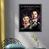 Supernatural-11CT Stamped Cross Stitch 40*50cm tapestrymarket