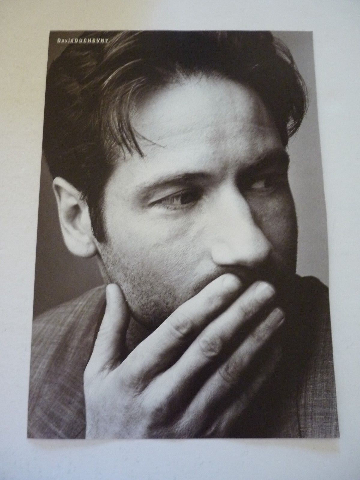 David Duchovny Single Sided Coffee Table Book Photo Poster painting Page 9.5x13.5