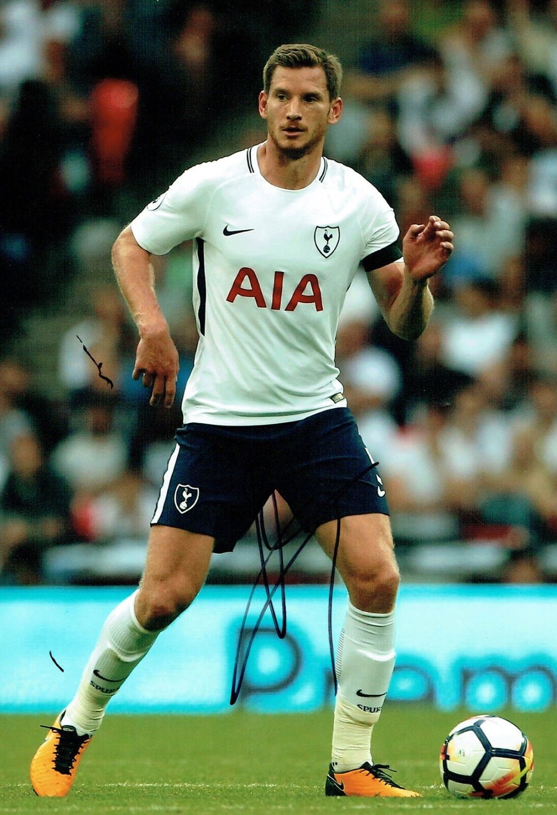 Jan VERTONGHEN SIGNED Autograph 12x8 Photo Poster painting AFTAL COA SPURS Premier League