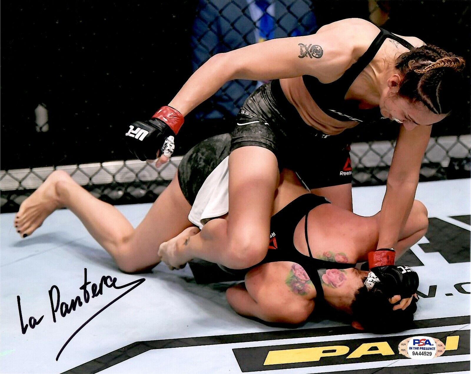 Antonina Shevchenko autographed signed 8x10 Photo Poster painting UFC PSA COA La Pantera